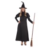 Norn Wickedest Witch
