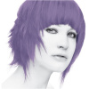 Stargazer Purple