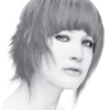 Stargazer Silverlook