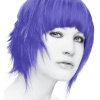 Stargazer Violet