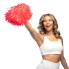 Pompom Assortment (34 cm)