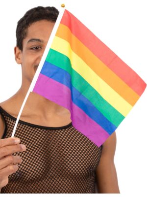 12 pride fánar í pakka